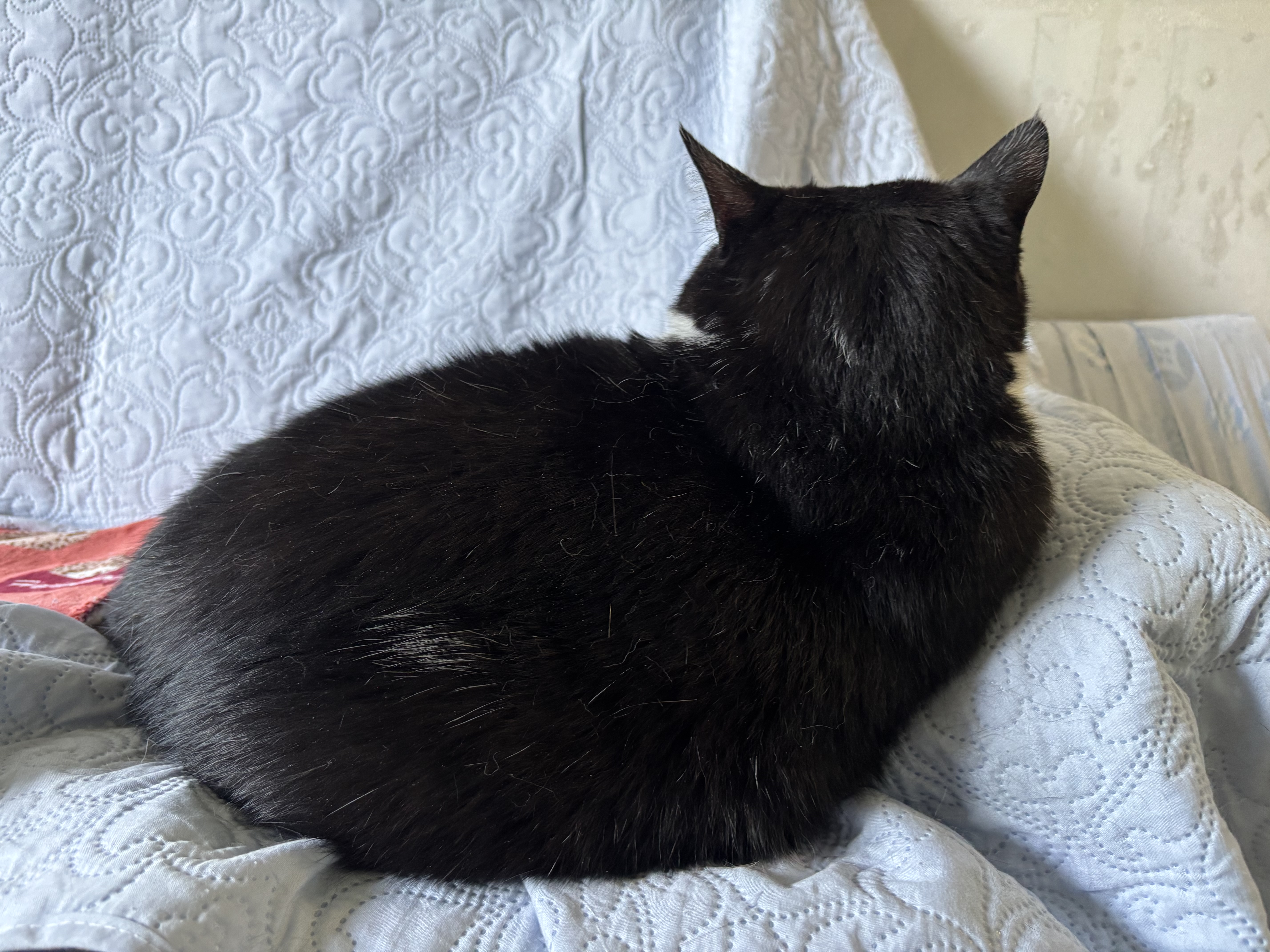 シフト制で仲間とともに、社会貢献を実感する新しい働き方