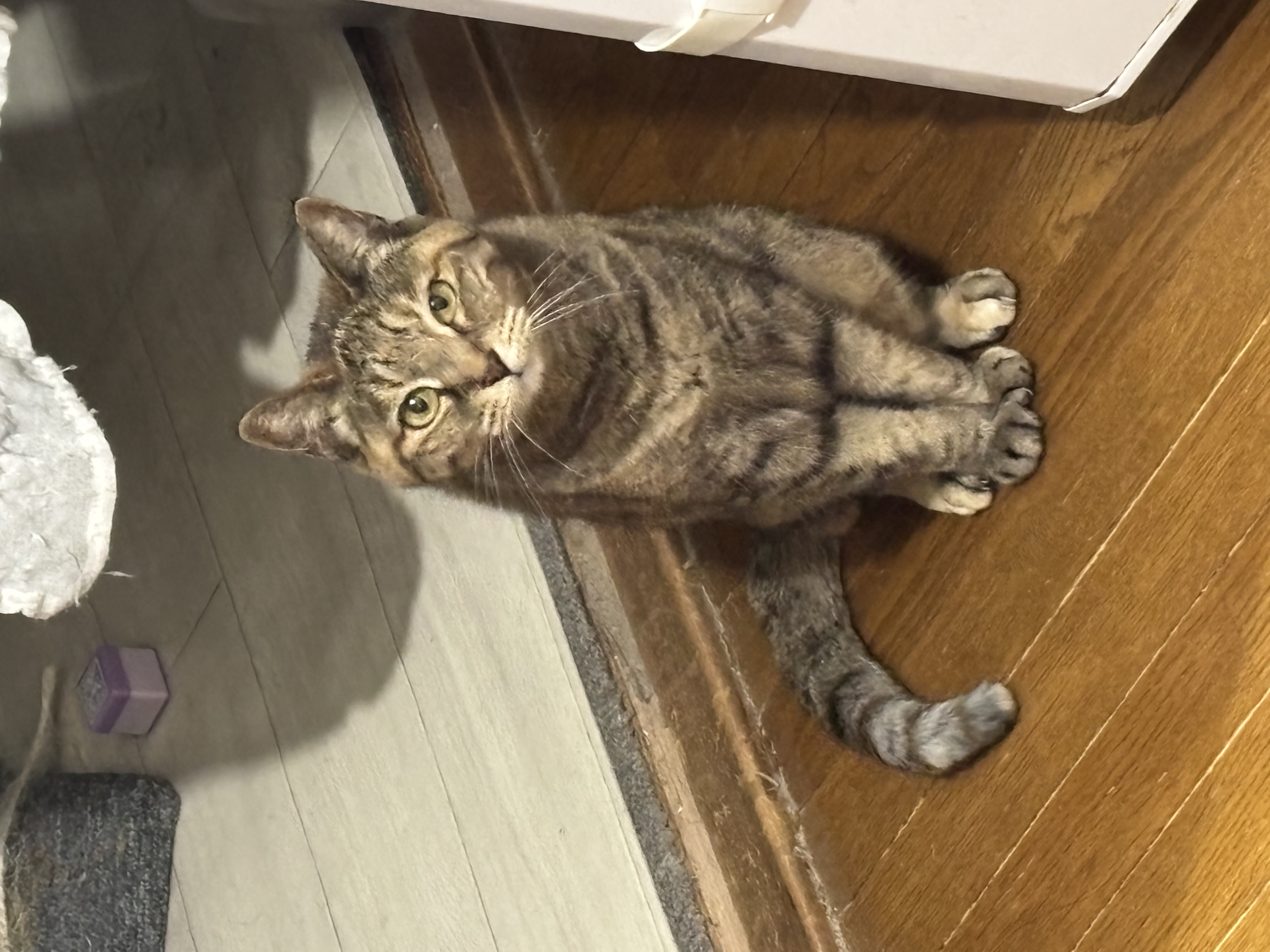 あなたのペースで、介護を WEB で簡単に。