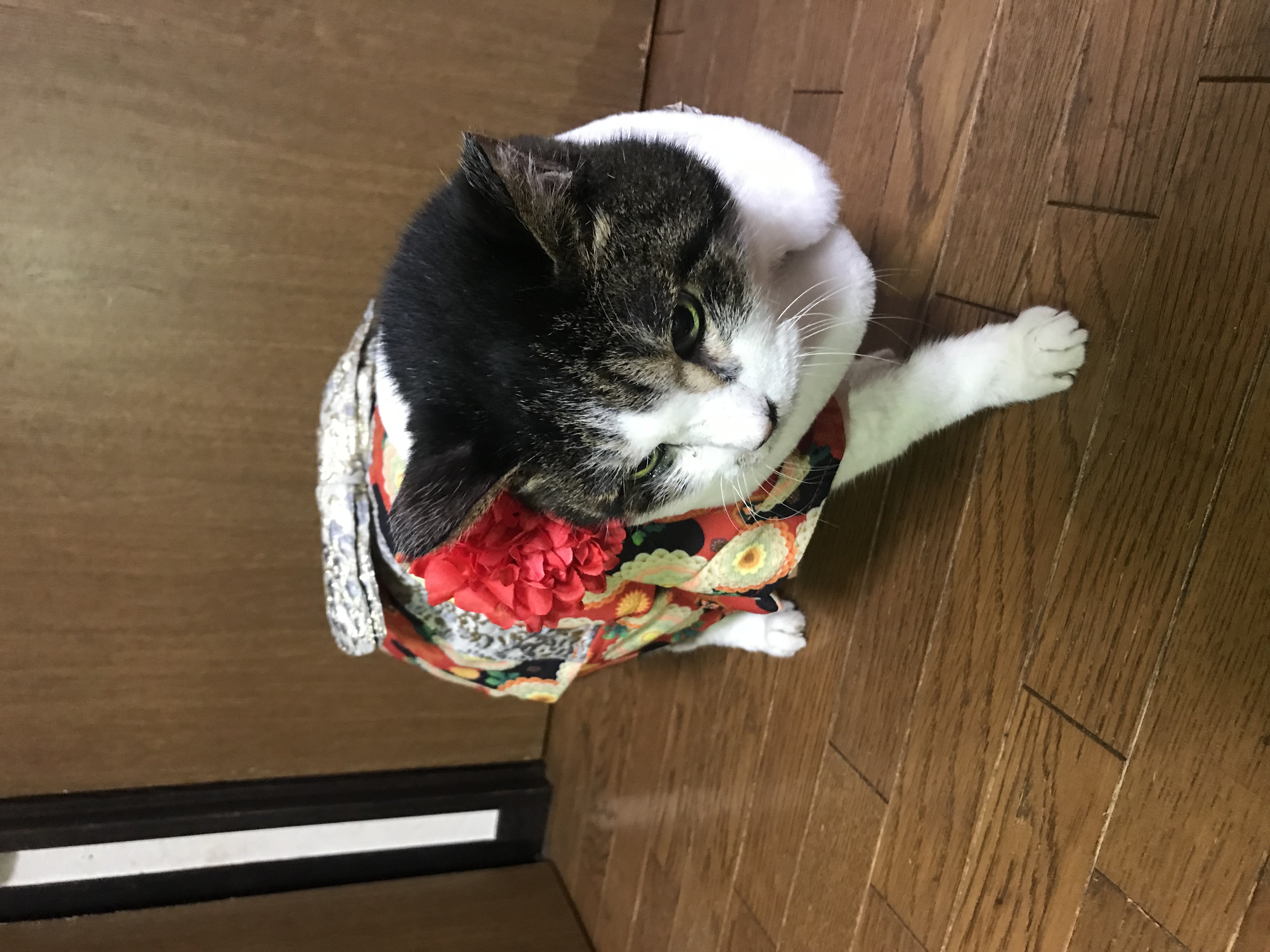 前向きに、仕事を楽しむ。あなたの成長が、利用者様の笑顔に繋がる。